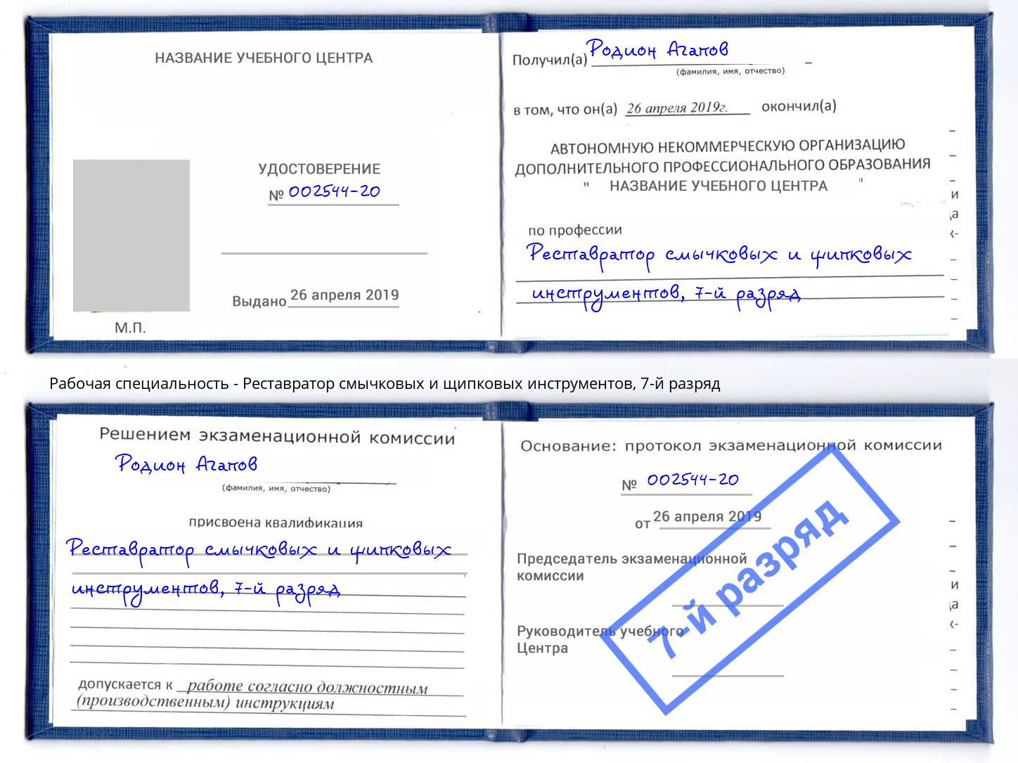 корочка 7-й разряд Реставратор смычковых и щипковых инструментов Тольятти