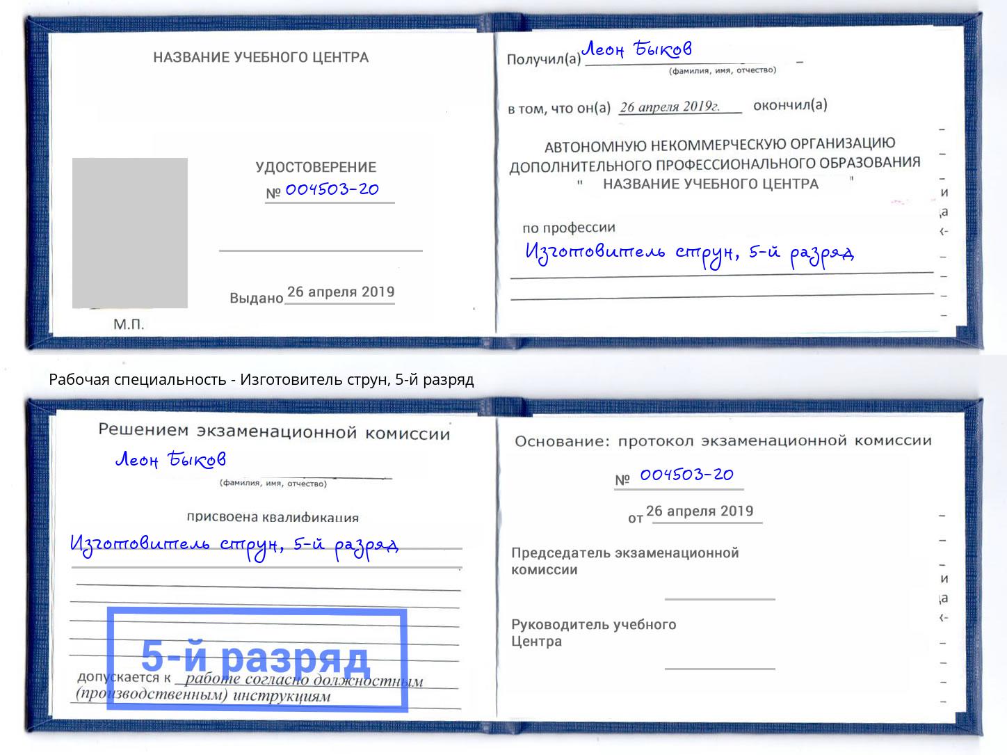 корочка 5-й разряд Изготовитель струн Тольятти